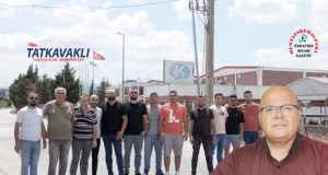NAKLİYECİ DİKEN ÜSTÜNDE