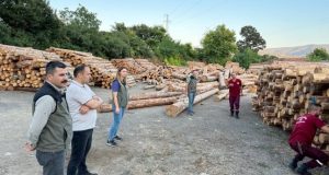 MUSTAFAKEMALPAŞA ORMANLARINDA DENETİM