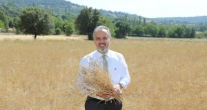 Toprak suyla buluşuyor, çiftçinin yüzü gülüyor