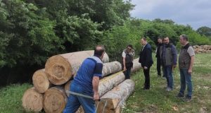 BÖLGE MÜDÜRÜ’NDEN ‘ORMAN’DA İNCELEME