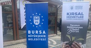 Büyükşehir’den çiftçiye tohum desteği