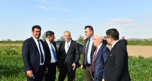 MUSTAFAKEMALPAŞA’DA 200 DÖNÜM AYÇİÇEĞİ EKİMİNE BAŞLANACAK