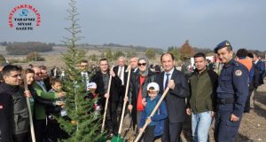 Hedef 300 bin Fidan.