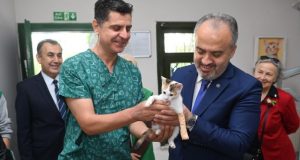 Sokak hayvanlarına Büyükşehir şefkati