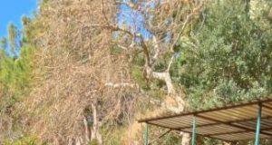 Deprem bölgesi haşere oluşumuna karşı ilaçlandı