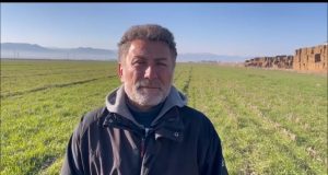 Narenciye Üreticisi Acil Yardım Bekliyor