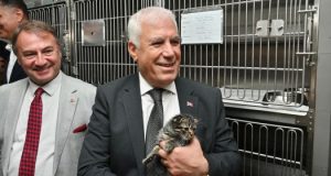 Büyükşehir’den can dostlara şefkat eli