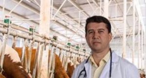 Saadet Partisi’nden Şap Hastalığı Uyarısı