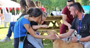 Bursa Büyükşehir patili dostların yanında