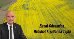 Mustafakemalpaşa Ziraat Odası’ndan Hububat Fiyatlarına Tepki
