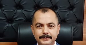 Mustafakemalpaşa’da 350 Milyon TL’lik Zeytin İçin Fiyat Bekleyişi